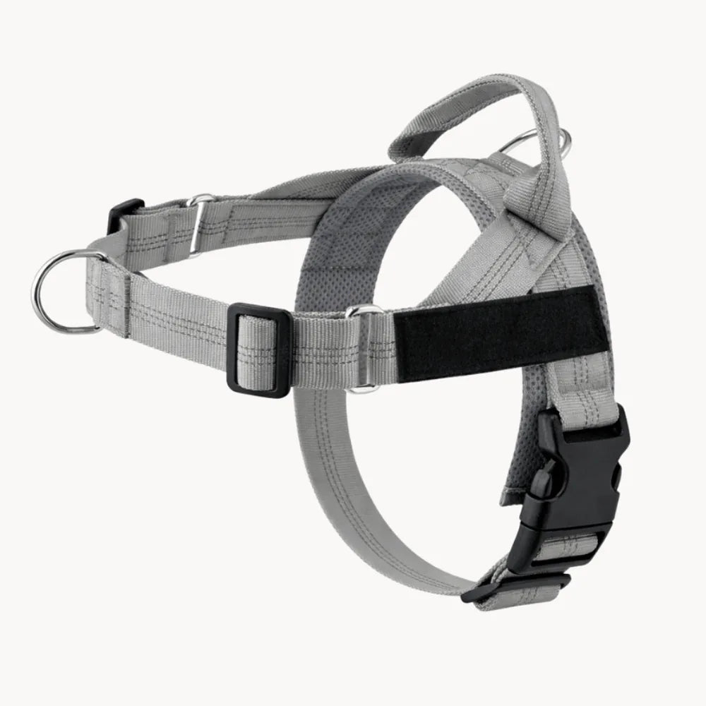 Tasskliv No-Pull hundesele