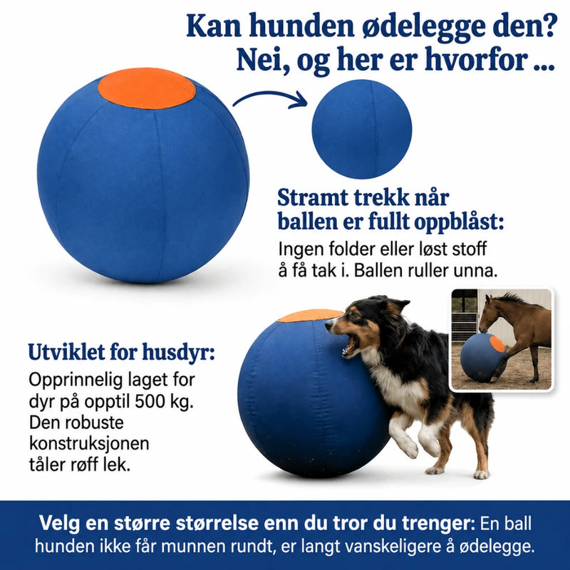 Tasskliv – Aktivisering for energiske hunder