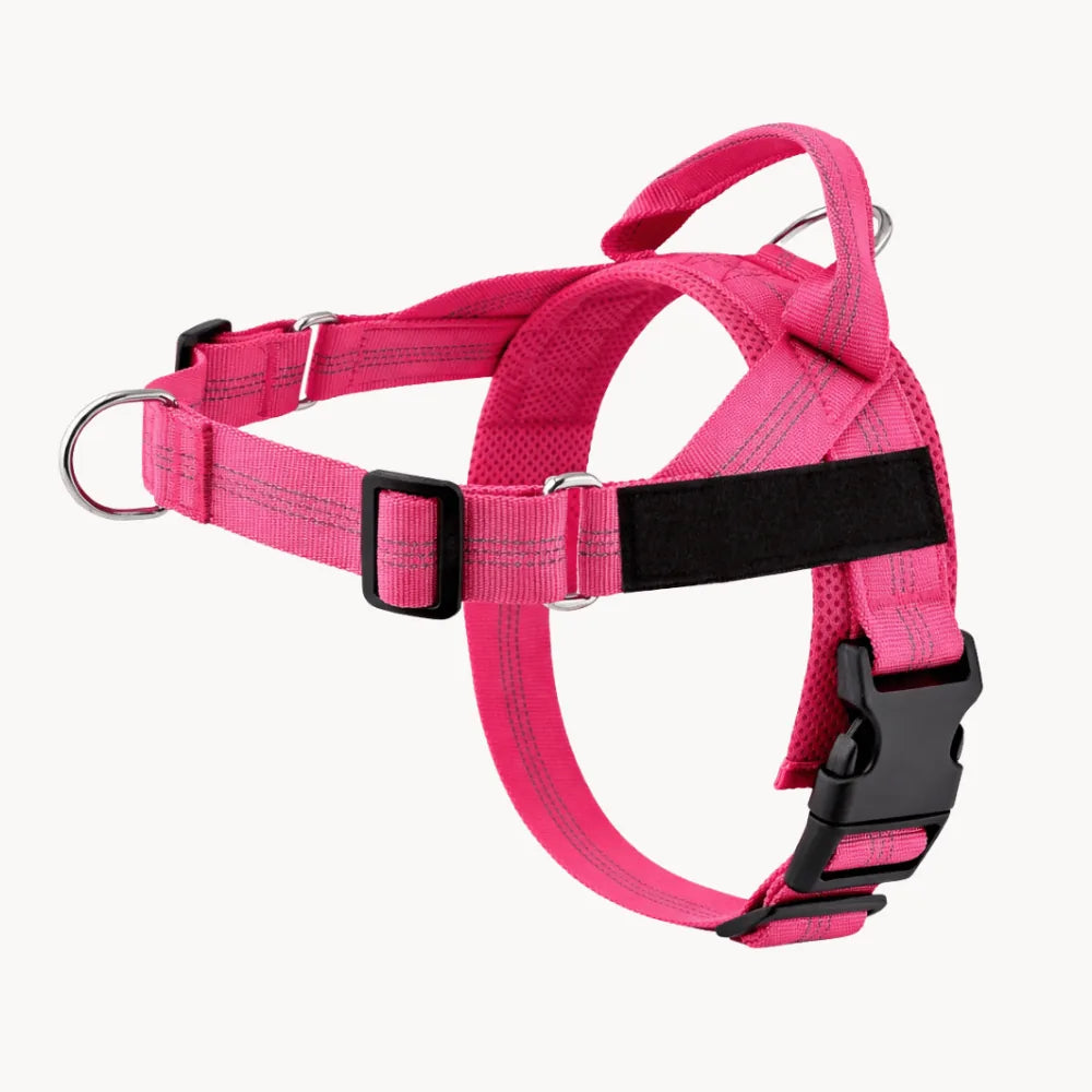Tasskliv No-Pull hundesele