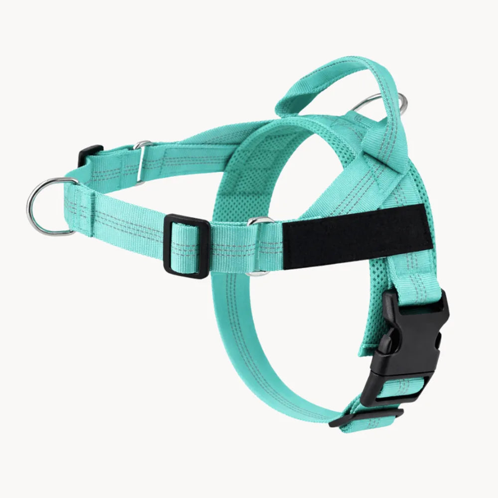 Tasskliv No-Pull hundesele