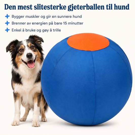 Tasskliv – Aktivisering for energiske hunder